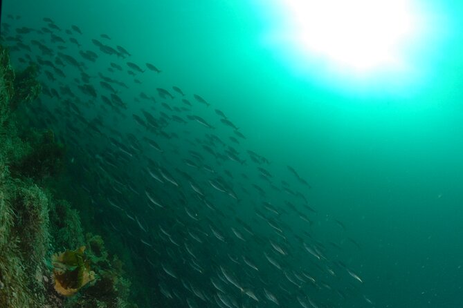 First Time Diver Scuba Experience - Equipment and the short transfer to the site