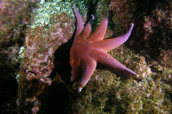 First Time Diver Scuba Experience - What the 6-meter limit means for a beginner