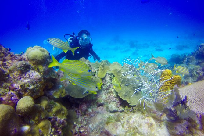 First Time Scuba Diving Experience in Punta Cana - Getting comfortable with the equipment