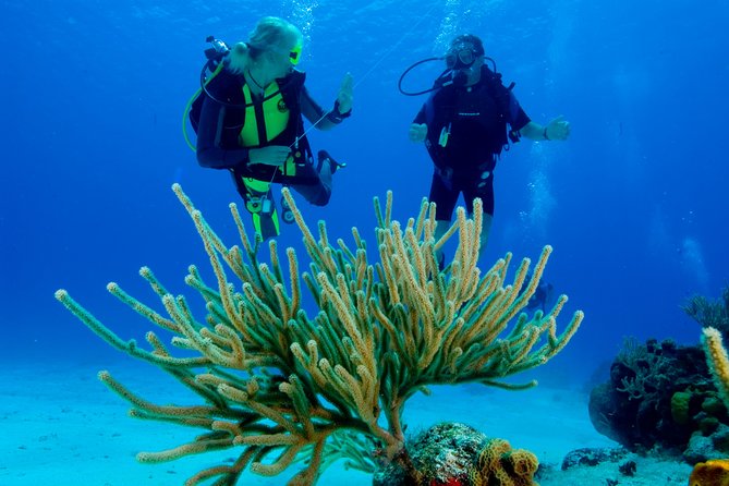 First Time Scuba Diving Experience in Punta Cana - A guided introduction, not a certification course