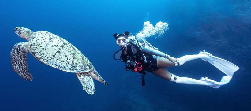 Fisheye Divers: Discover Scuba Diving - Key points to know before booking