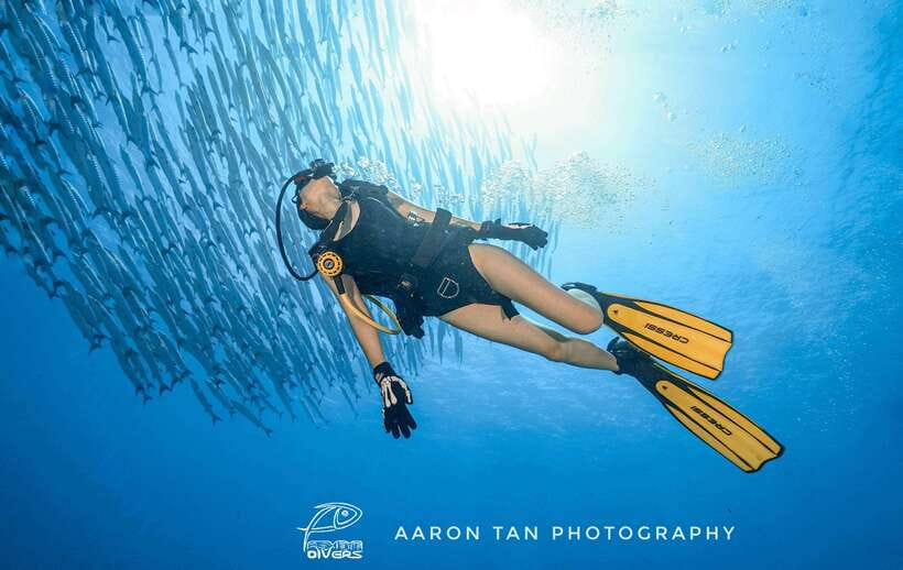 Fisheye Divers: Discover Scuba Diving - From Boracay pickup to your first underwater lesson