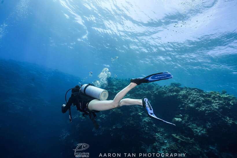 Fisheye Divers: Discover Scuba Diving - Shallow-water practice makes the first attempt easier