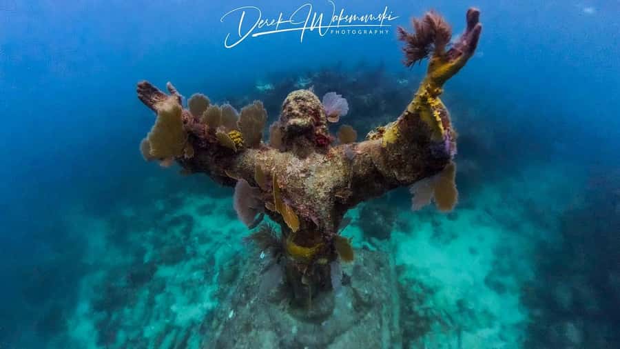 Florida Keys: Scuba Diving & Snorkeling Reef Trip - Practical preparation for a smoother outing