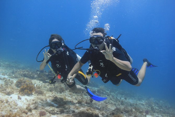 For certified Divers Experience the Under Water Museum and the Manchones Reef - A small group capped at four
