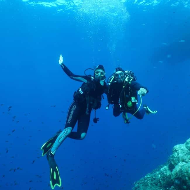 Fréjus: Diving Experience in Port-Fréjus with an Instructor - Key points to know before you book