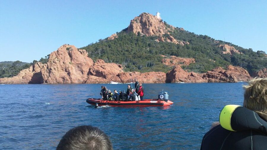 Fréjus: Diving Experience in Port-Fréjus with an Instructor - What makes the marine setting worthwhile
