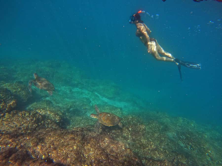 From Abu Dhabi: Scuba Dive and Snorkeling with BBQ, Transfer - A second water stop at Sharm Rocks