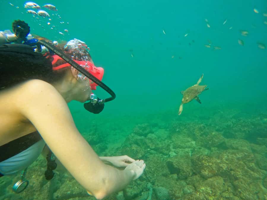 From Abu Dhabi: Scuba Dive and Snorkeling with BBQ, Transfer - Brief sightseeing in Khorfakkan