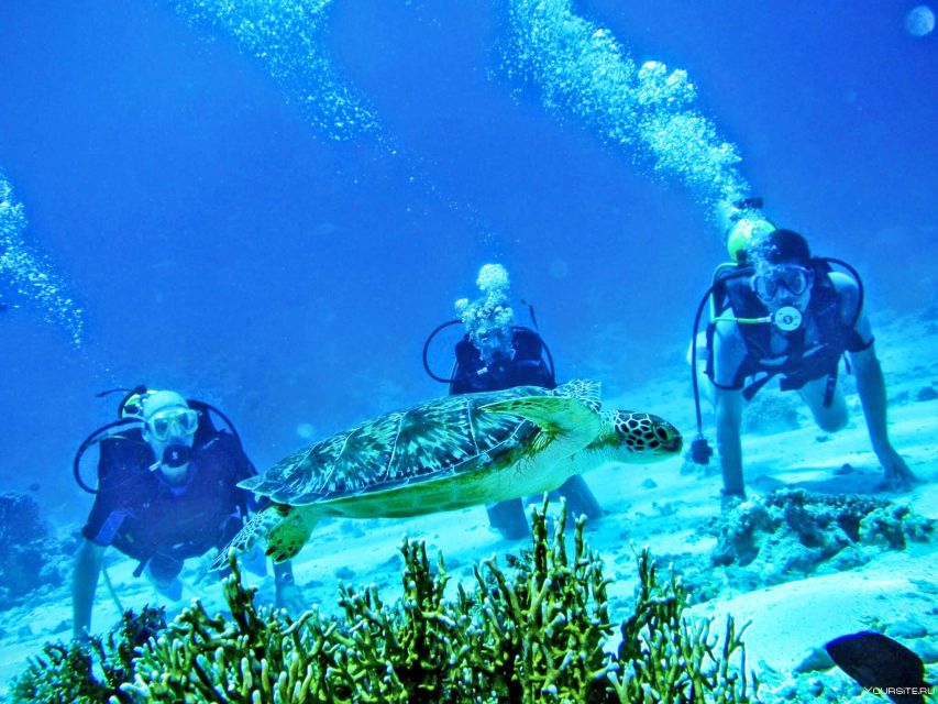 From Antalya| Kemer: Diving Tour with Experienced Instructor - The first underwater session