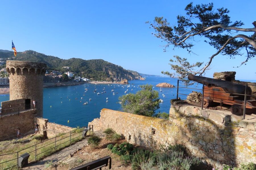 From Barcelona: Tossa de Mar Scuba Diving and 3-Course Meal - What the Mediterranean session feels like for a beginner