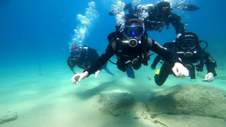 From Barcelona: Tossa de Mar Scuba Diving and 3-Course Meal - How the timing affects the value
