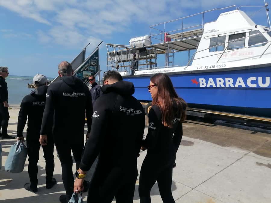 From Cape Town: Gans Bay Shark Cage Diving - What the Gansbaai shark experience is really like