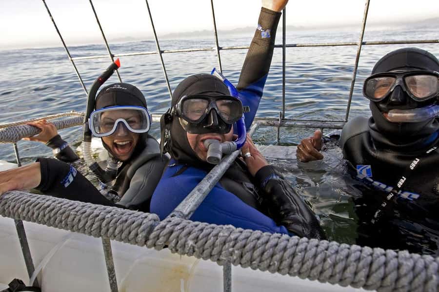 From Cape Town: Gans Bay Shark Cage Diving - The Cape Town to Gansbaai journey