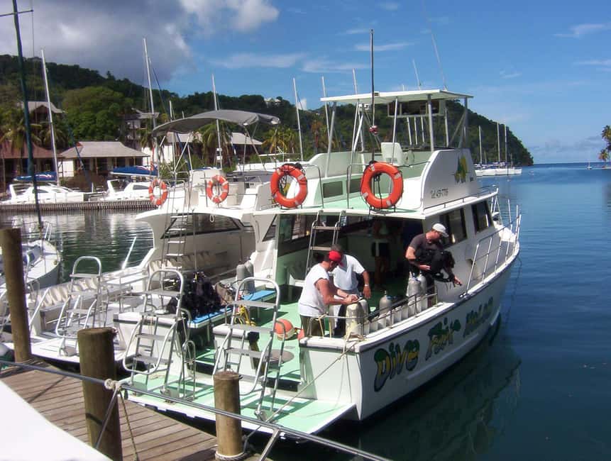 From Castries: St. Lucia Scuba Diving Excursion - Soufriere: wall scenery and moving water