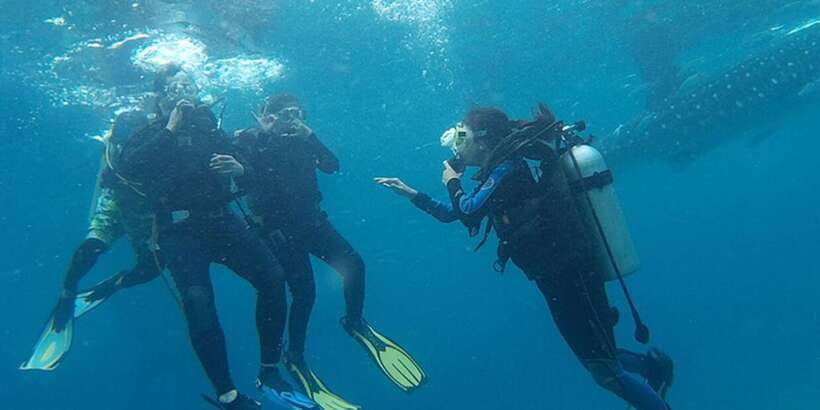 From Cebu City: Scuba Diving with Whale Sharks Trip in Oslob - What the private transfer adds