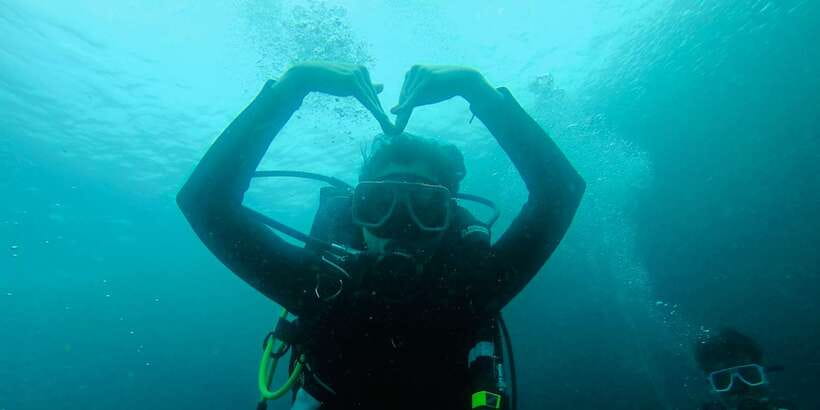 From Cebu City: Scuba Diving with Whale Sharks Trip in Oslob - Is $172 good value?