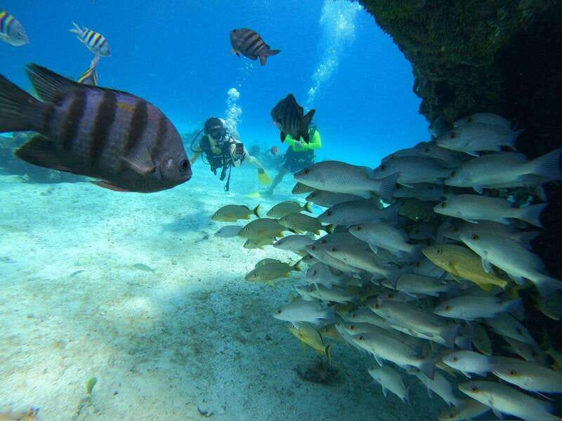 From Cozumel: Chankanaab Cozumel Scuba Diving - Key points to know before you book