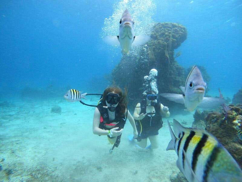 From Cozumel: Chankanaab Cozumel Scuba Diving - Booking flexibility and practical planning