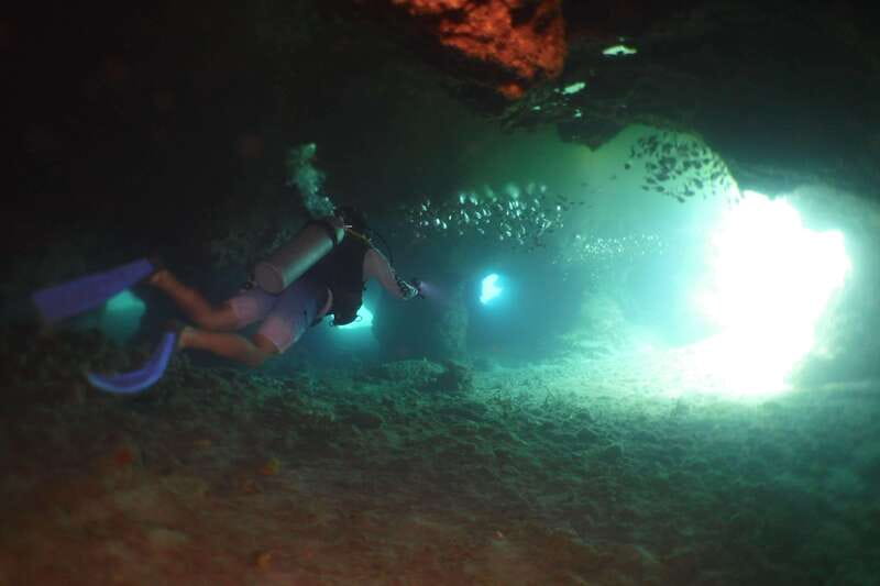 From Cozumel: Chankanaab Cozumel Scuba Diving - Staying in the park after the water session