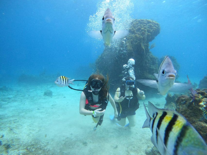 From Cozumel: Chankanaab Cozumel Scuba Diving - Why the location works well for cruise visitors