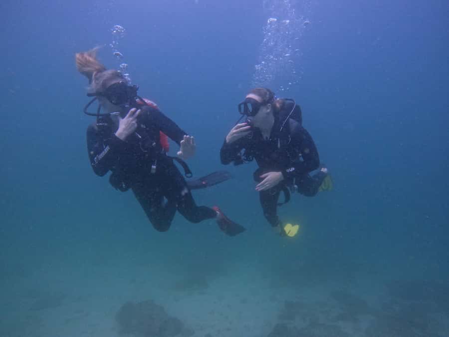 From Dubai: 2 Dives for Certified Divers with BBQ & Transfer - Two Fujairah sites, two chances to see something different