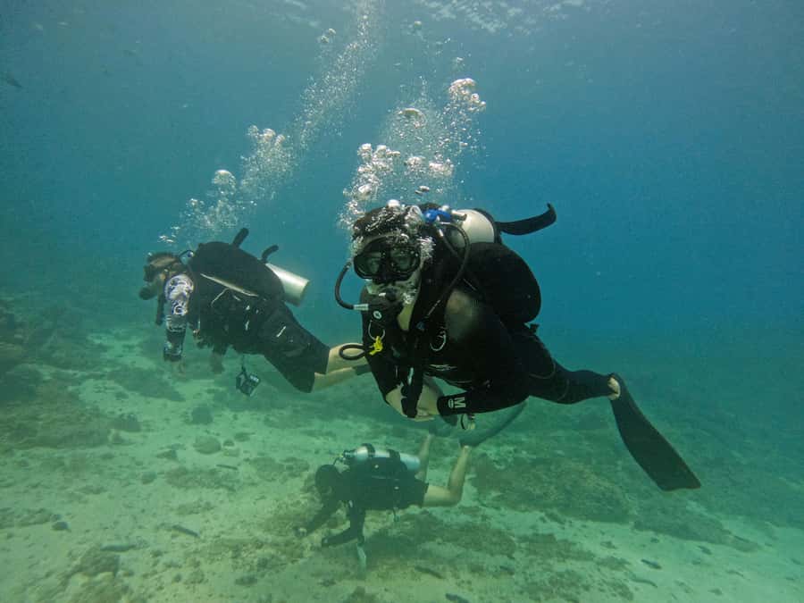 From Dubai: 2 Dives for Certified Divers with BBQ & Transfer - The 30-minute break between sessions