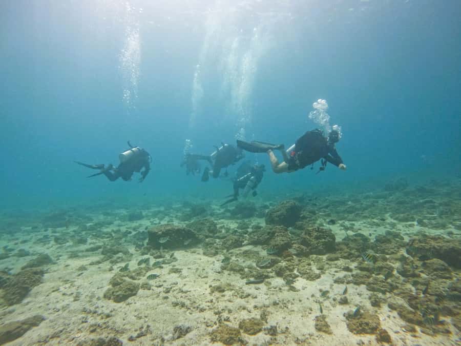 From Dubai: 2 Dives for Certified Divers with BBQ & Transfer - Three short stops on the return to Dubai