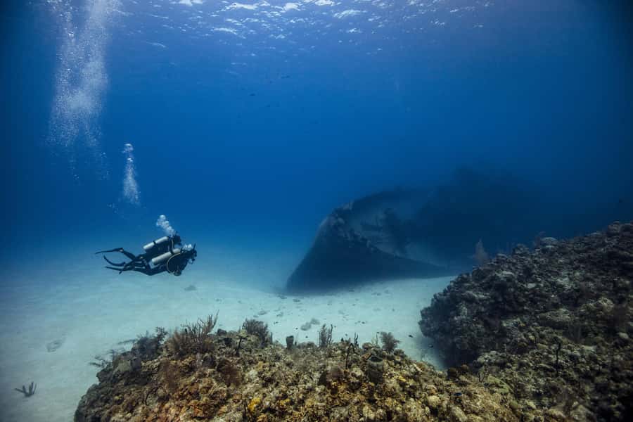 From Dubai: 2 Dives for Certified Divers with BBQ & Transfer - The early start from Dubai