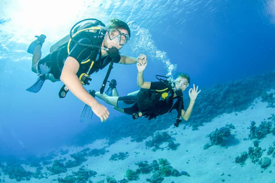 From Dubai: Discovery Scuba Diving & Snorkeling In Fujairah - Key points to know before booking