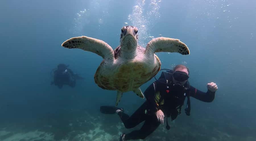 From Dubai: Discovery Scuba Diving & Snorkeling In Fujairah - What to pack for a comfortable day