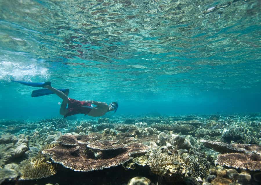 From Dubai: Discovery Scuba Diving & Snorkeling In Fujairah - The boat lesson makes the first session less intimidating