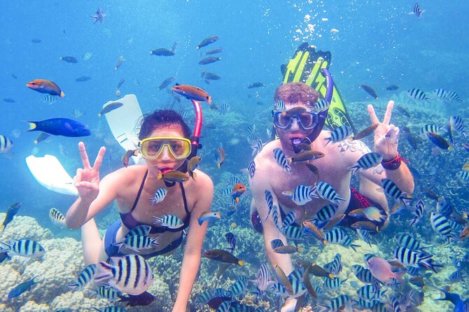 From Dubai: Discovery Scuba Diving & Snorkeling trip in Fujairah - From Dubai’s skyline to Dibba Al-Fujairah