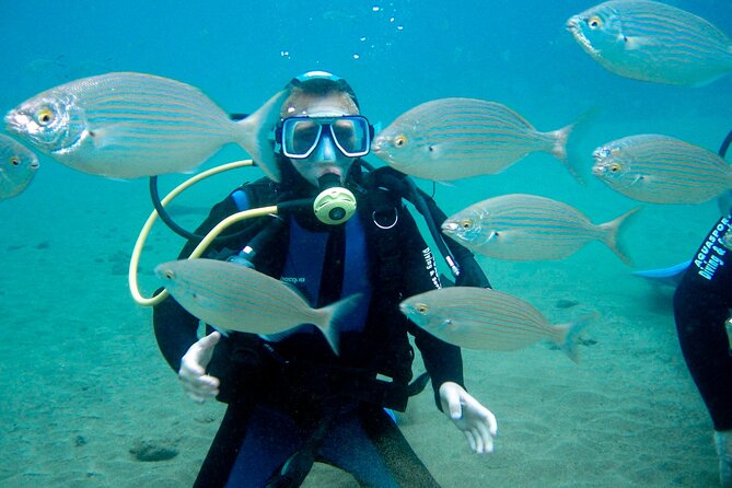 From Dubai: Discovery Scuba Diving & Snorkeling trip in Fujairah - Booking details that can save trouble
