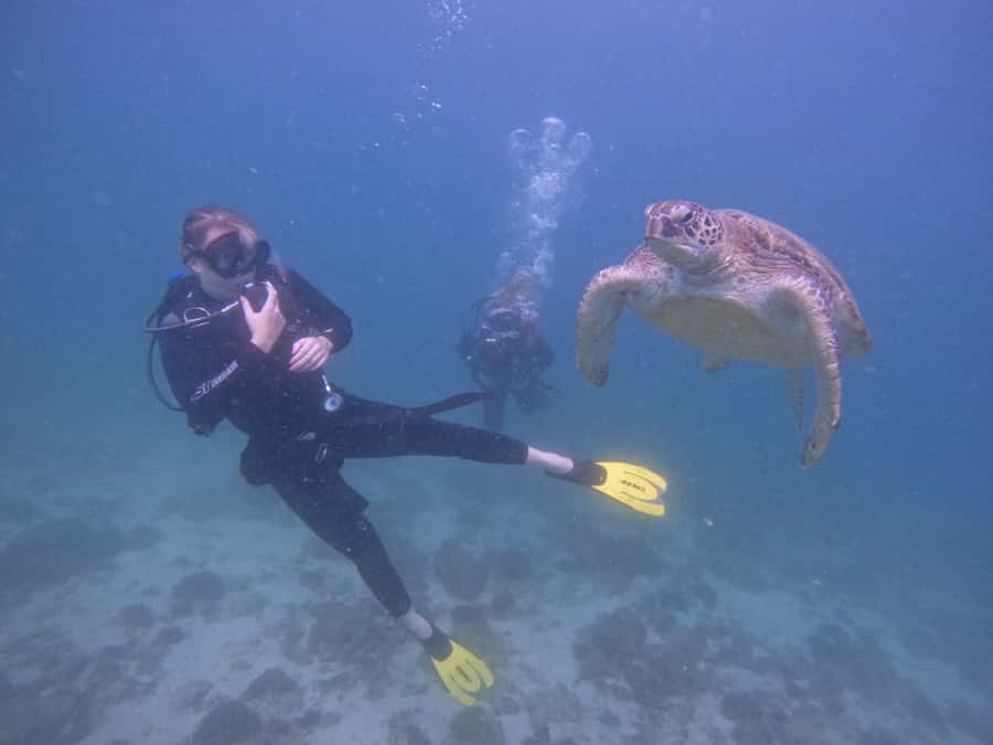 From Dubai: Dive and Stay 5-Dives Trip with BBQ, Transfers - Key points to know before booking