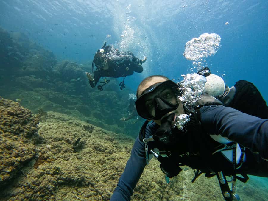 From Dubai: Dive and Stay 5-Dives Trip with BBQ, Transfers - Leaving Dubai with pickup already arranged