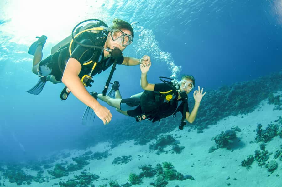 From Dubai: Fujairah Half-Day Scuba Dive and Snorkeling - Getting fitted with scuba equipment in Fujairah