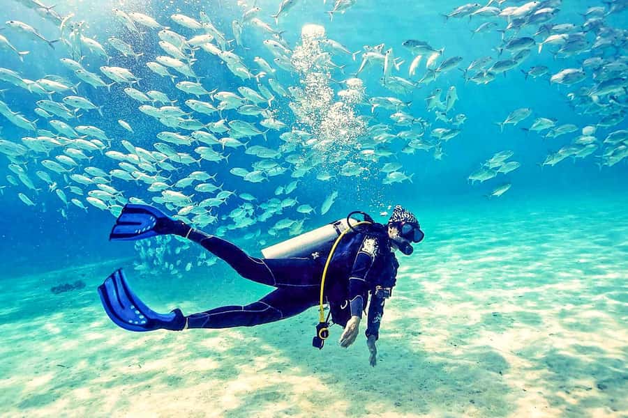 From Dubai: Fujairah Half-Day Scuba Dive and Snorkeling - The morning pickup from your Dubai hotel