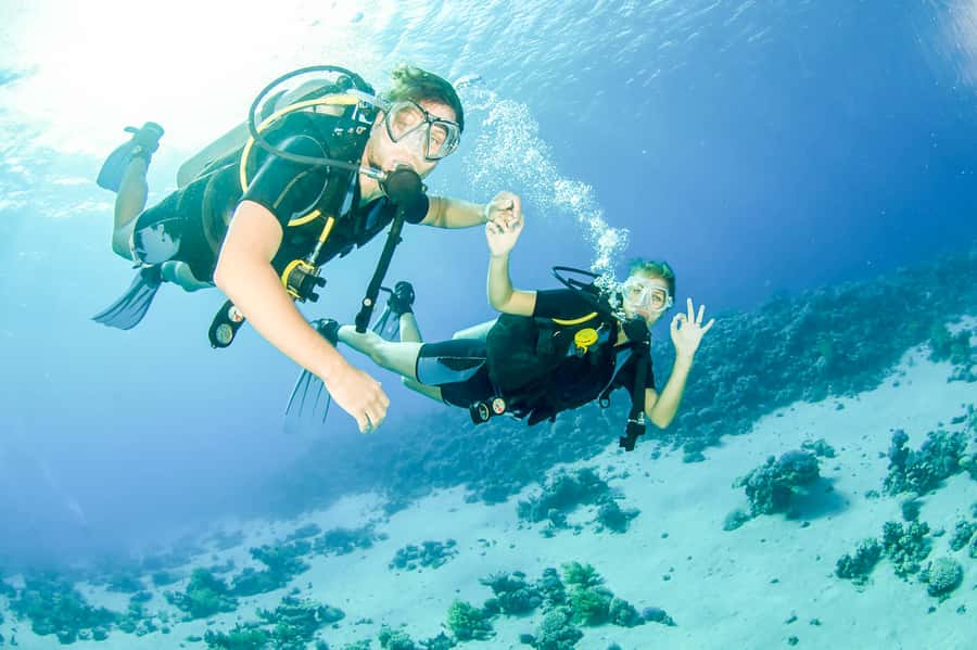 From Dubai: Fujairah Scuba Dive and Snorkeling - From Dubai to Fujairah, a long road to the coast