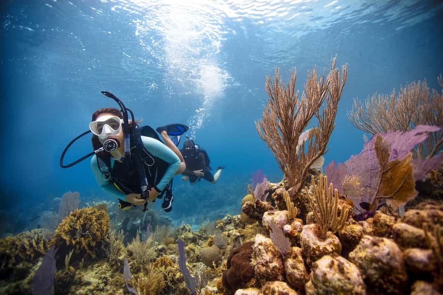 From Dubai: Fujairah Scuba Dive and Snorkeling - Cruising along the Gulf of Oman coast