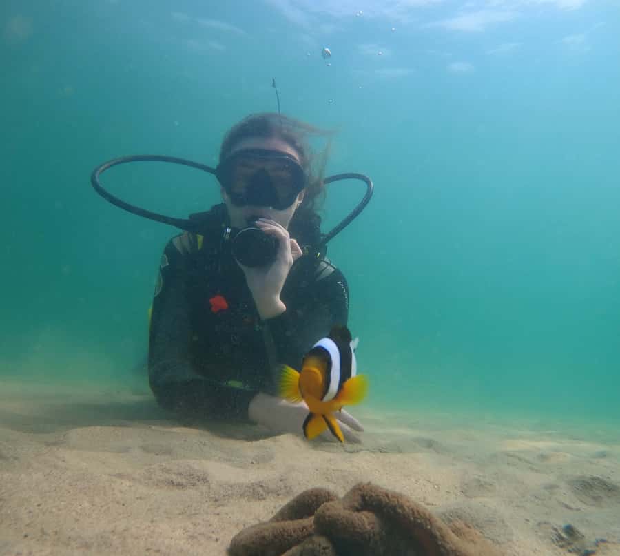 From Dubai: Fujairah Scuba Dive and Snorkeling - What the two underwater sessions are like