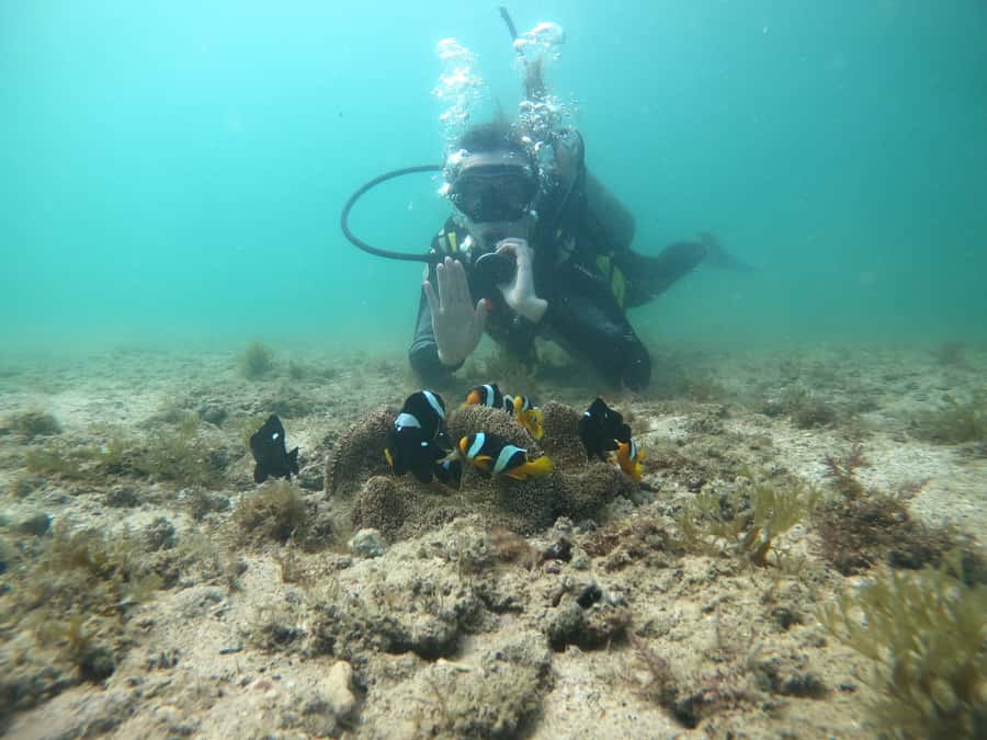 From Dubai: Fujairah Scuba Dive and Snorkeling - The guides and the feel of the operation