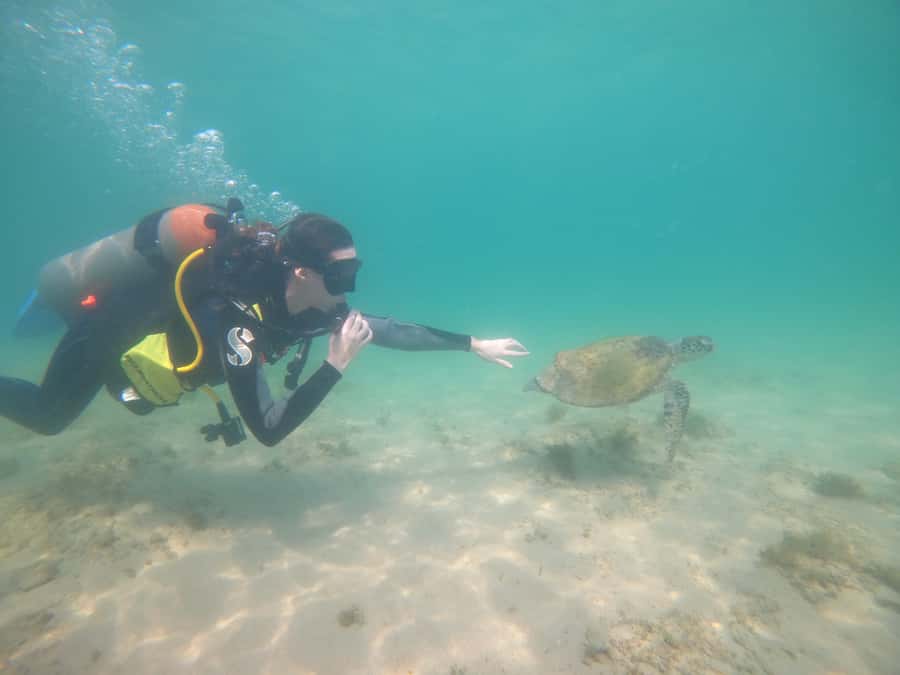 From Dubai: Fujairah Scuba Dive and Snorkeling - What to bring and what to arrange first