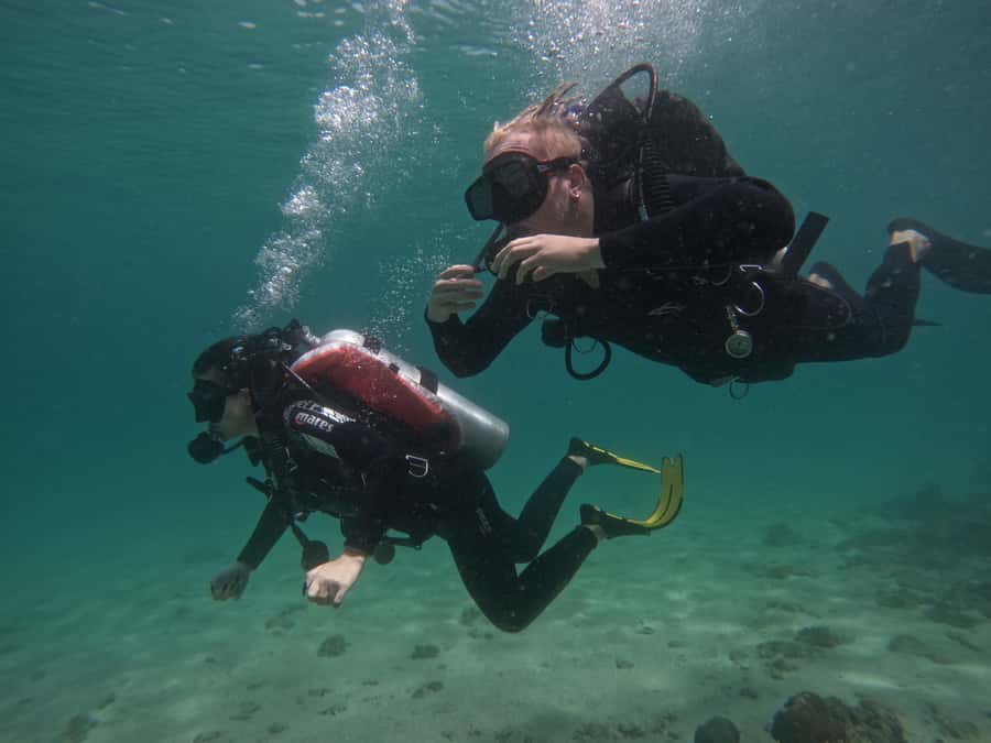 From Dubai: Try Scuba Diving, Snorkeling with BBQ & Transfer - Sharm Rocks and the pleasure of staying at the surface