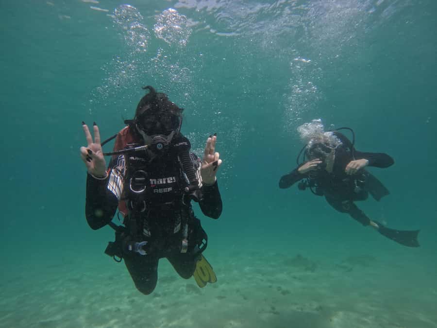 From Dubai: Try Scuba Diving, Snorkeling with BBQ & Transfer - Timing, group size, and the small print