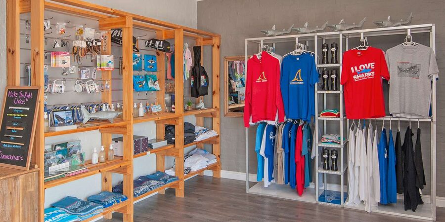 From Hermanus or Cape Town: Shark Cage Diving Experience - Seasickness, cold water, and comfort