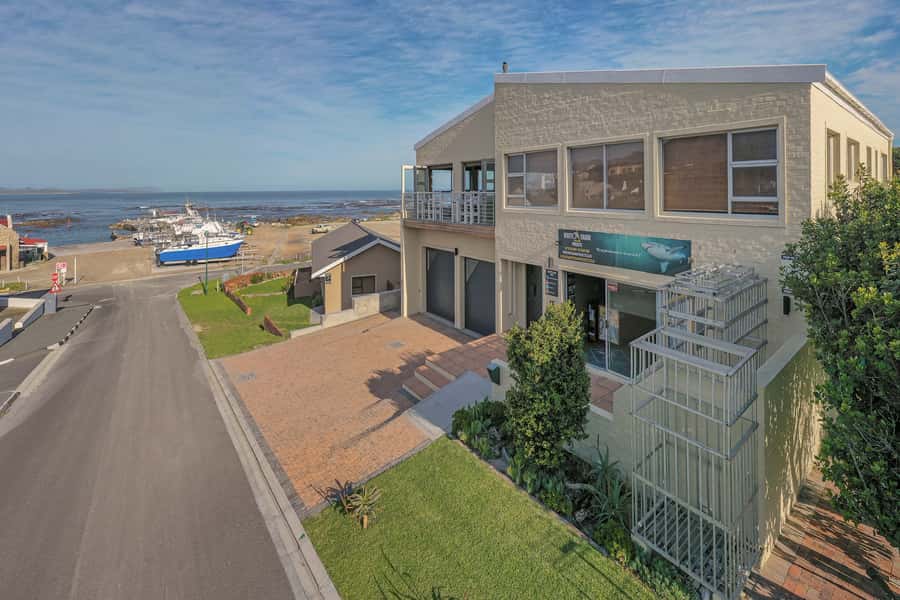 From Hermanus or Cape Town: Shark Cage Diving Experience - Breakfast before the boat