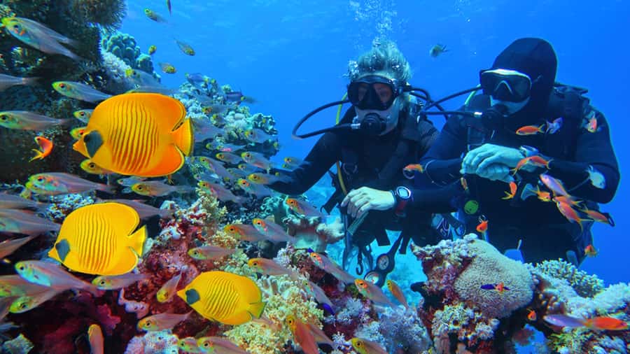 From Hurghada: Scuba Diving with Expert Guide & 2 Dives - Key points to know before booking