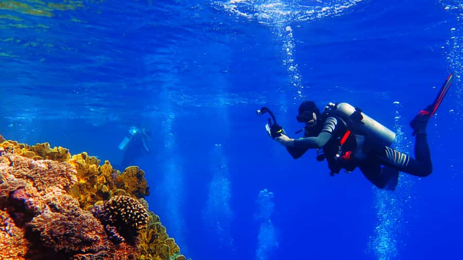 From Hurghada: Scuba Diving with Expert Guide & 2 Dives - Two underwater sessions, not just a boat outing