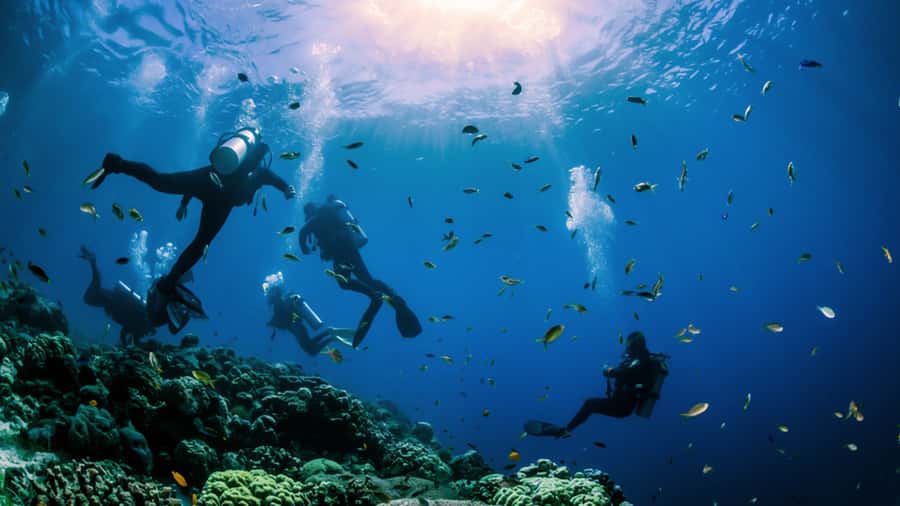 From Hurghada: Scuba Diving with Expert Guide & 2 Dives - Lunch, soft drinks, and the return sail